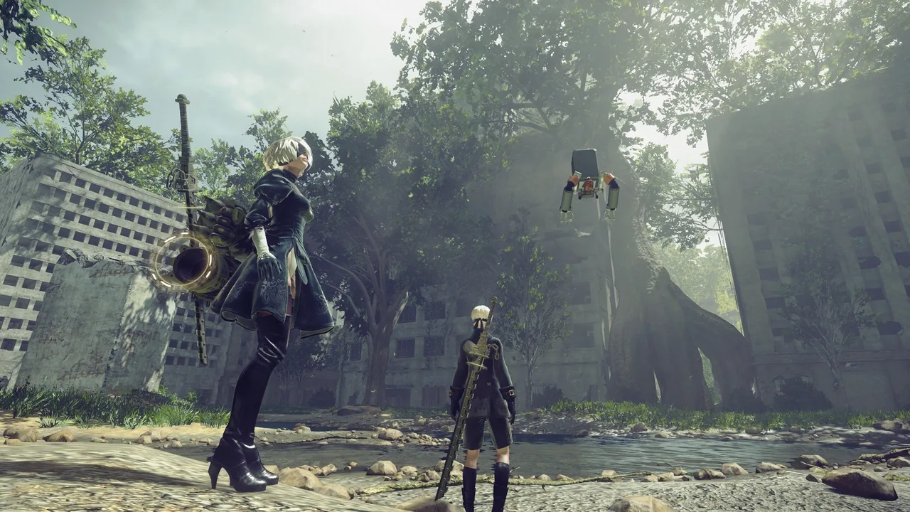 Neir: Automata cover