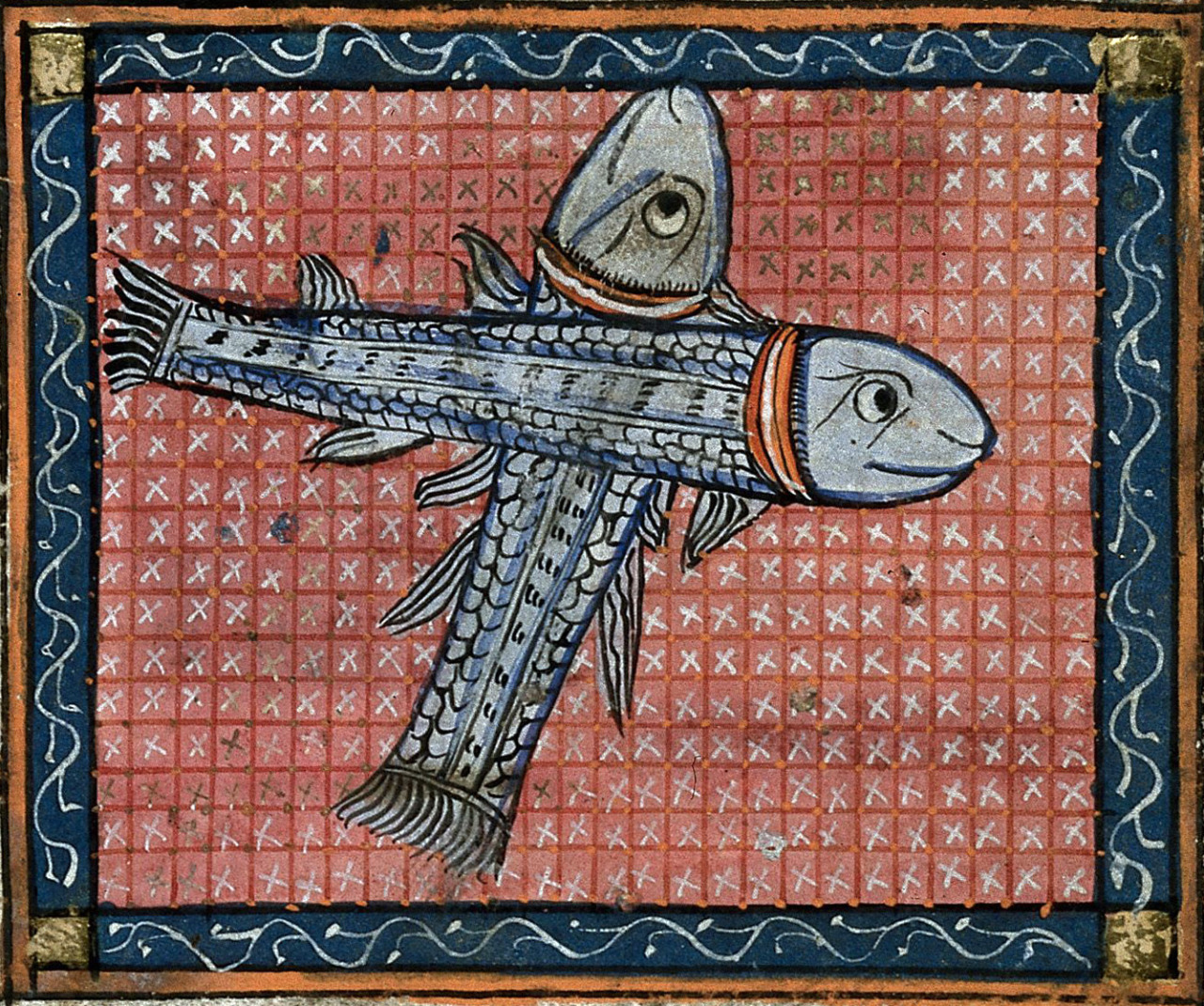 fish icon