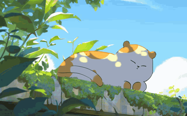 Clouds